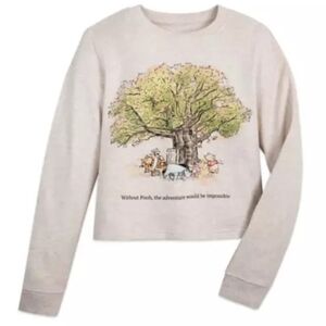 Disney Winnie The Pooh and Friends Pullover Cropped Sweater Sweatshirt NWOT XL